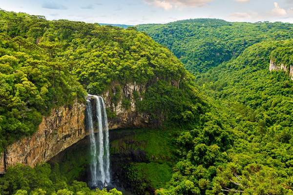 آبشار در جنگل آمازون