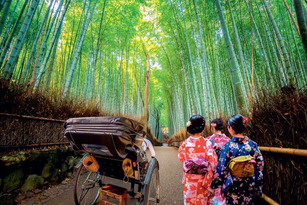 ریکشا سواری در جنگل بامبو آراشیاما