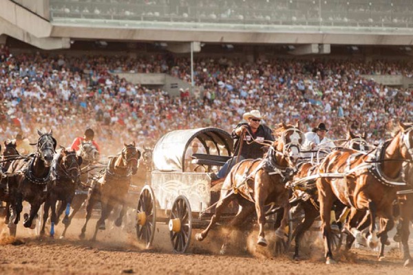 فستیوال بلوز اتاوا