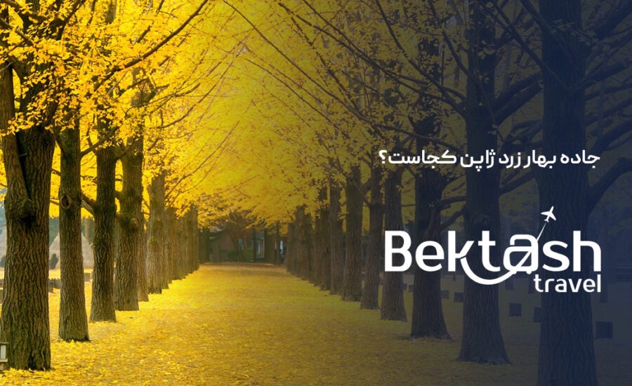 جاده بهار زرد ژاپن