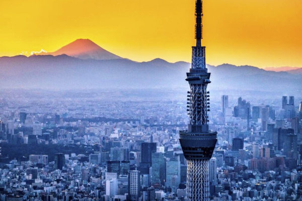 نقاط تماشای اسکای تری