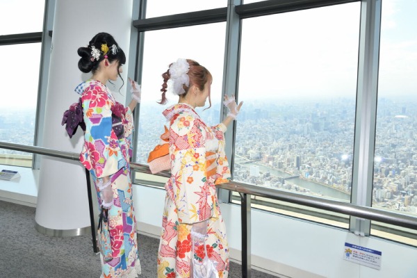 عرشه تمبو گالریا