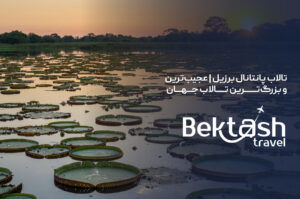 تالاب پانتانال برزیل