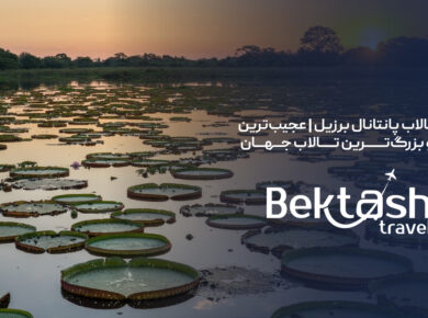 تالاب پانتانال برزیل