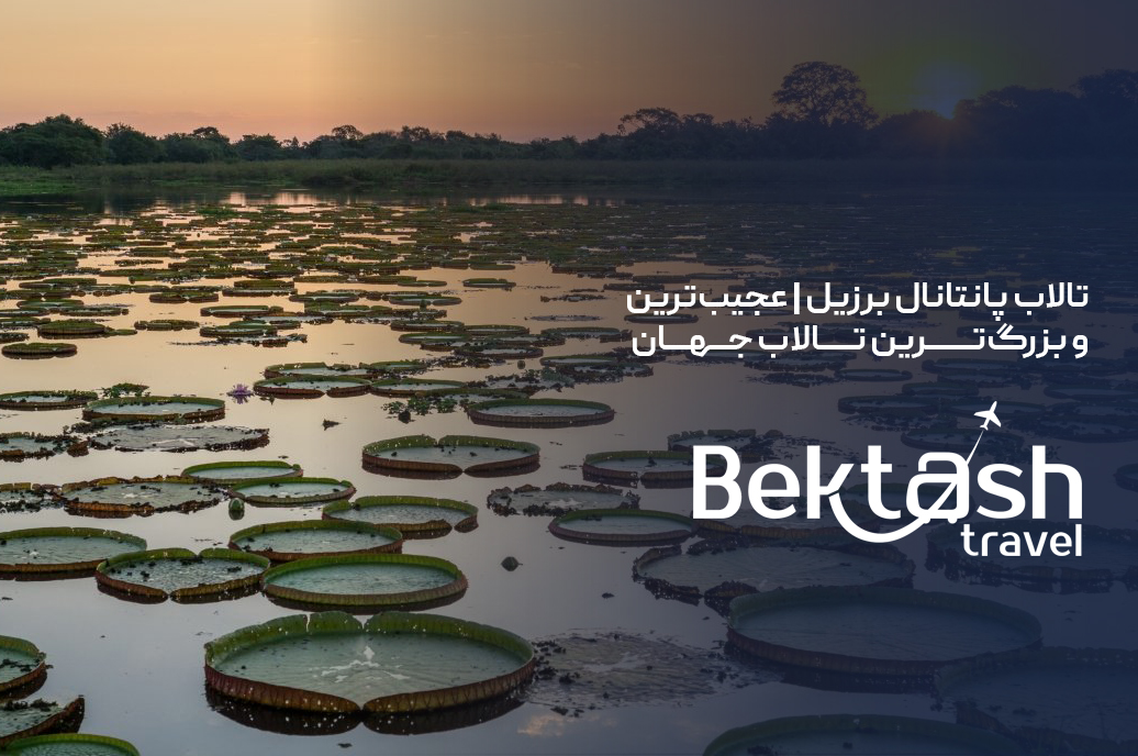 تالاب پانتانال برزیل