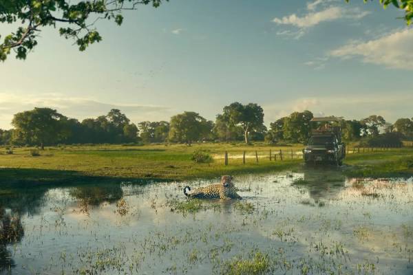 تالاب پانتانال برزیل